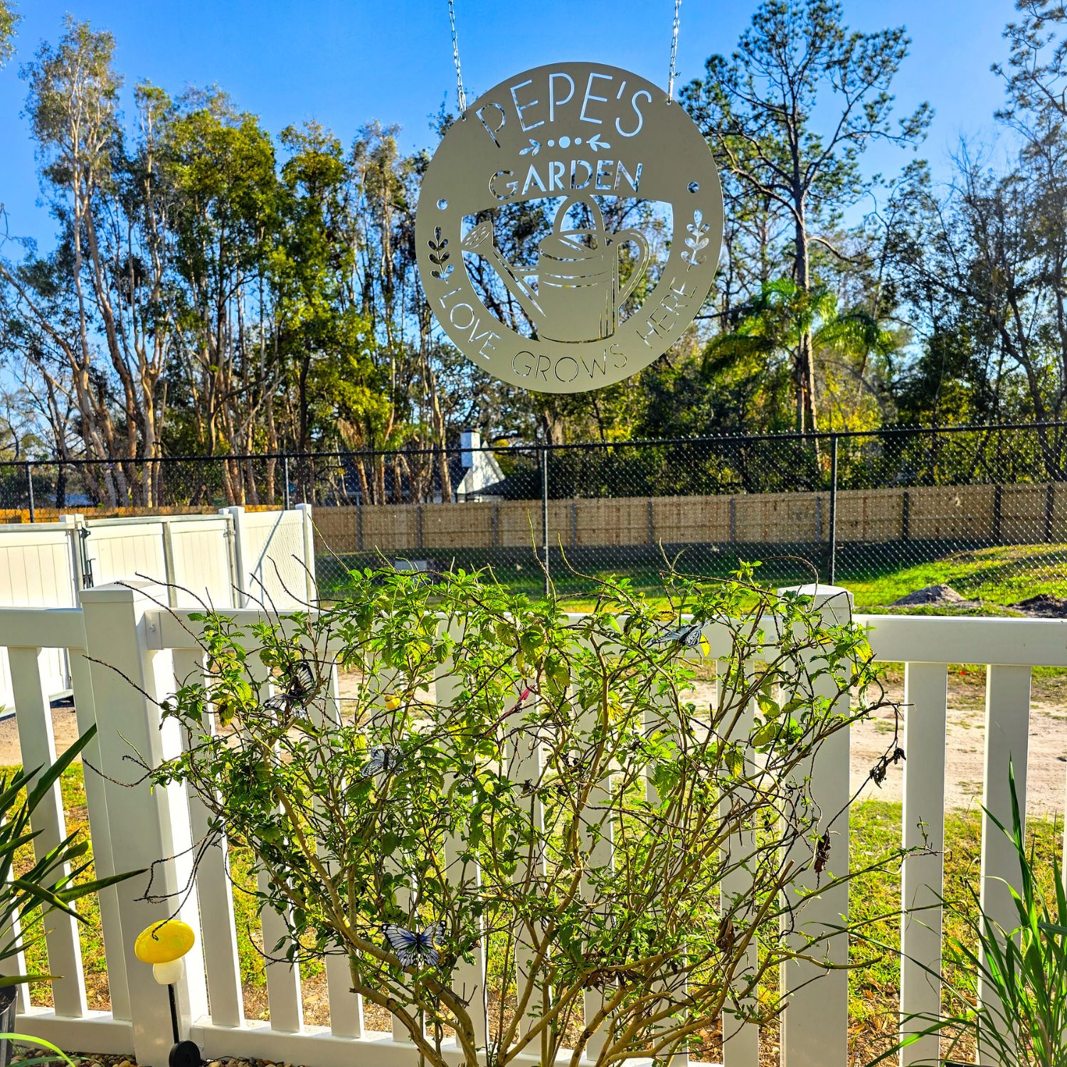 Untitled design - 2025-03-24T145302.360