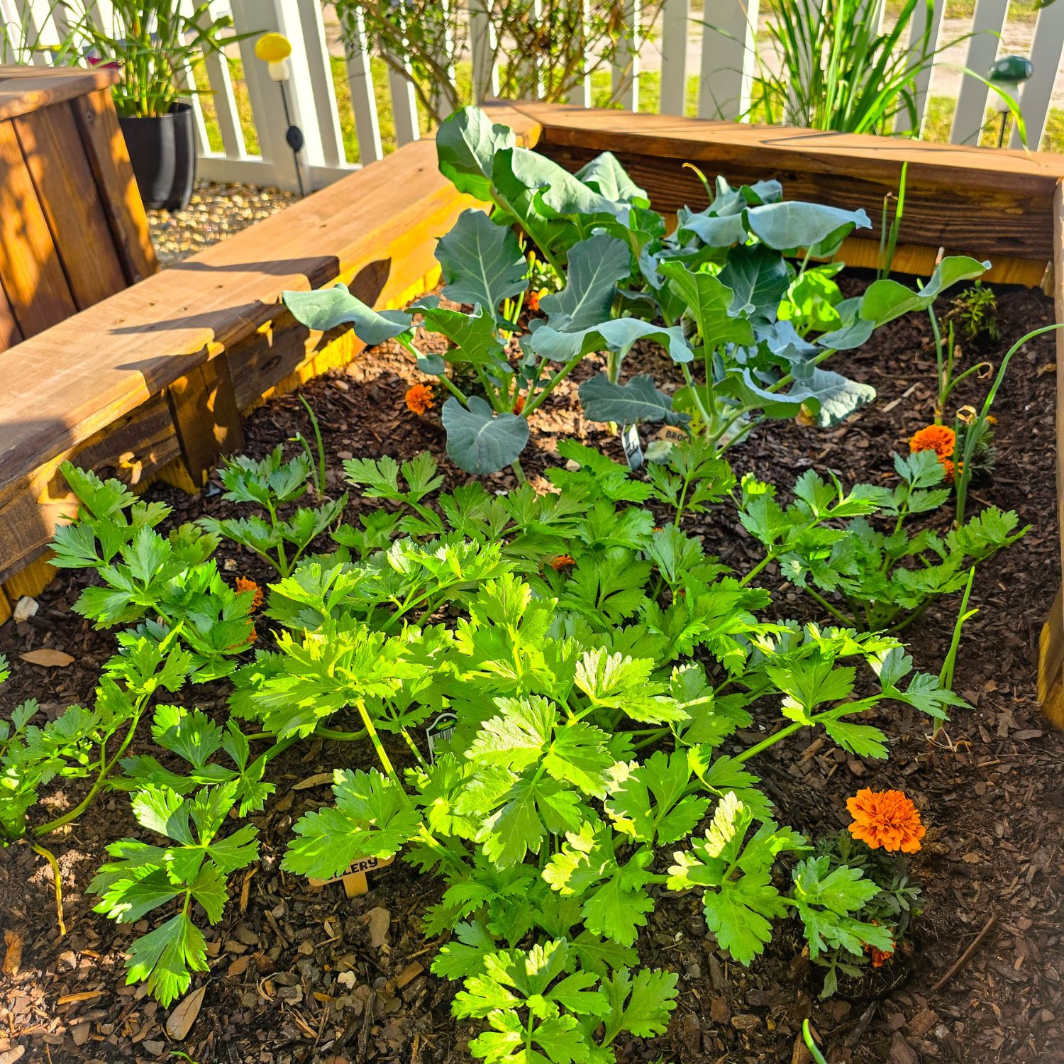 Untitled design - 2025-03-24T145351.353