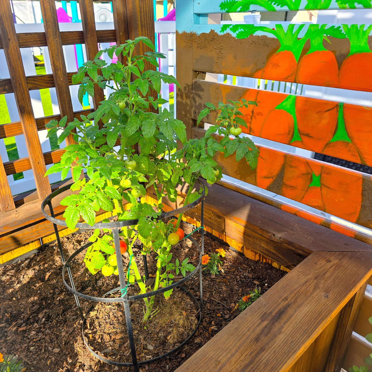 Untitled design - 2025-03-24T145415.359